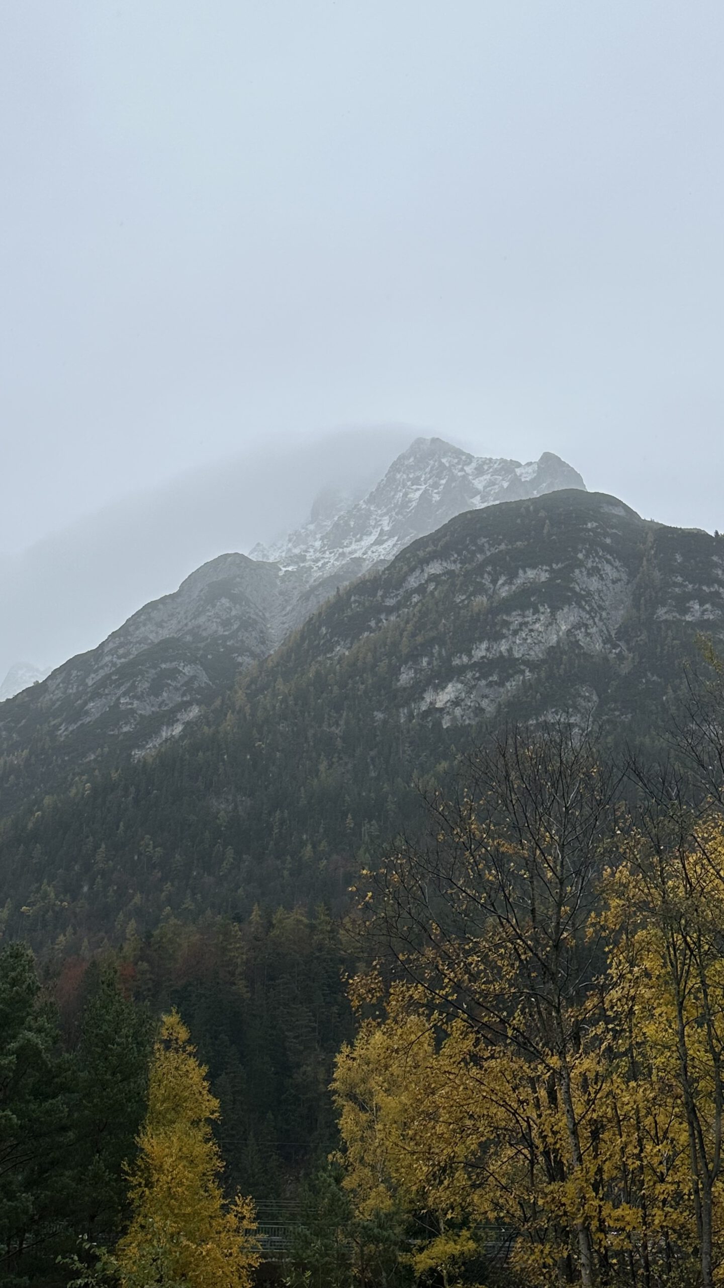 Blick auf den Karwendel in Mittenwald, teilweise von Nebel und Wolken verhüllt, mit herbstlich gefärbten Bäumen im Vordergrund.