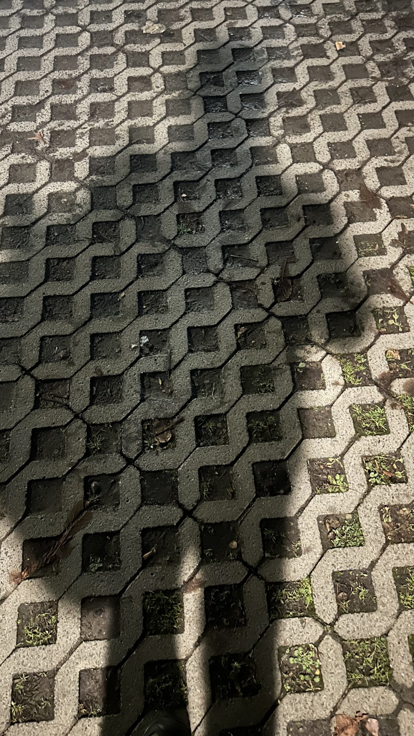 Schatten eines Menschen mit Rucksack auf frostigem Pflaster am Busbahnhof in Polch, beleuchtet vom frühen Morgenlicht.