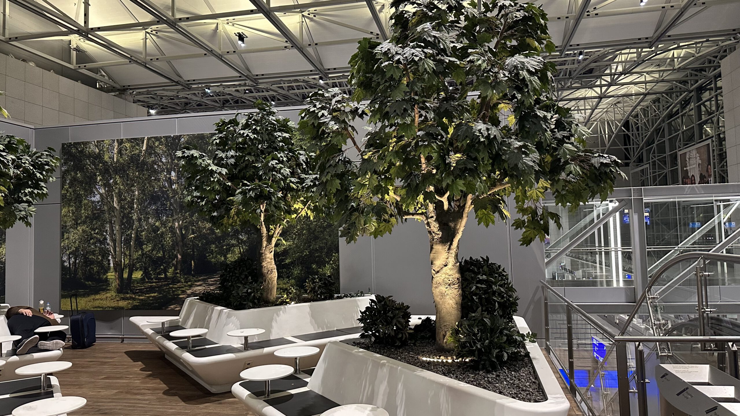 Sitz- und Wartebereich mit künstlichen Bäumen im Terminal 2 des Flughafens Frankfurt, mein improvisierter Schlafplatz während der Reise.