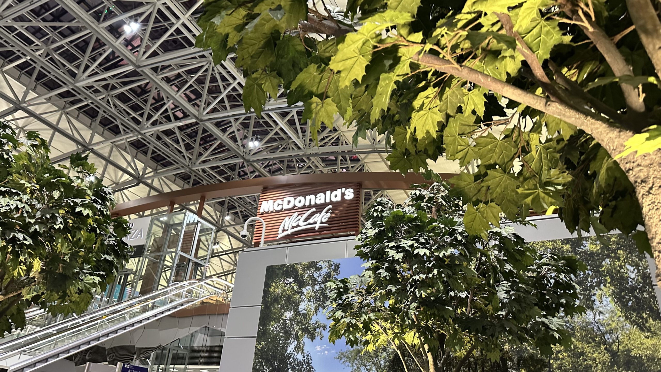 Aussicht vom Nachtlager im Terminal 2 des Frankfurter Flughafens mit Blick auf McDonald’s McCafé zwischen künstlichen Bäumen und Stahlarchitektur.
