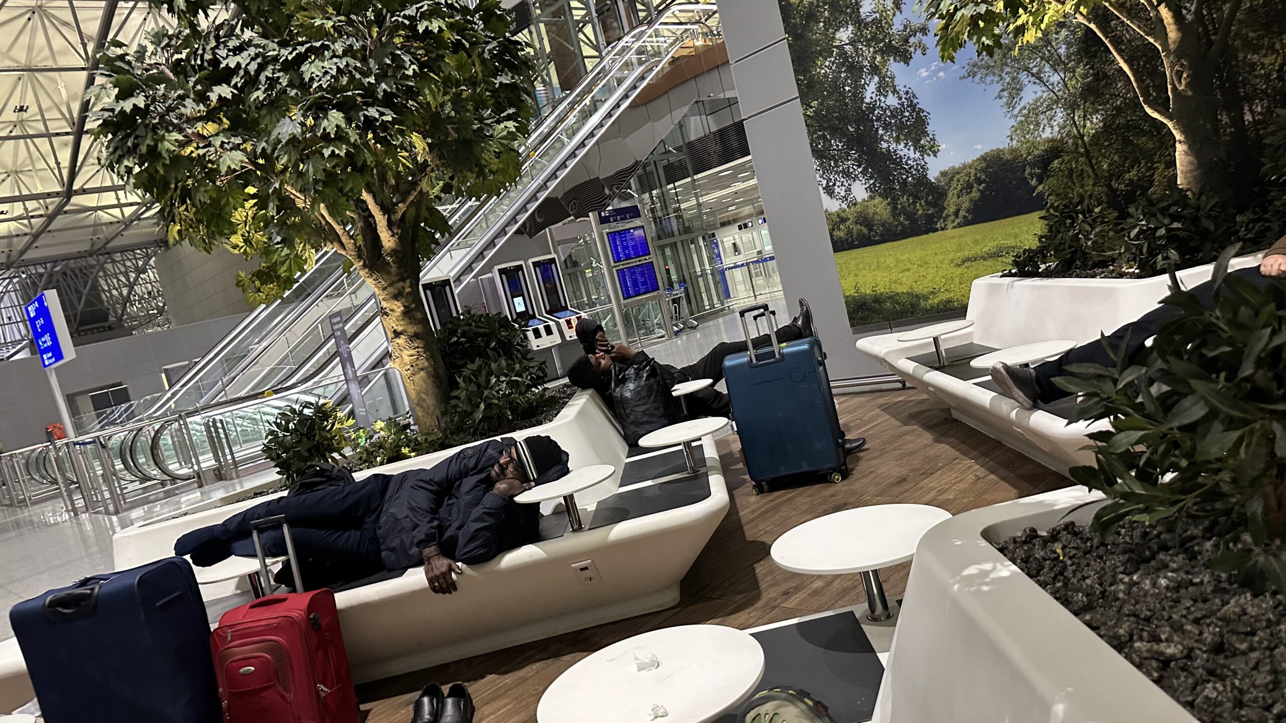 Schlafende Reisende im Ruhebereich von Terminal 2 des Frankfurter Flughafens, mit Koffern, Bänken und künstlichen Bäumen im Hintergrund.