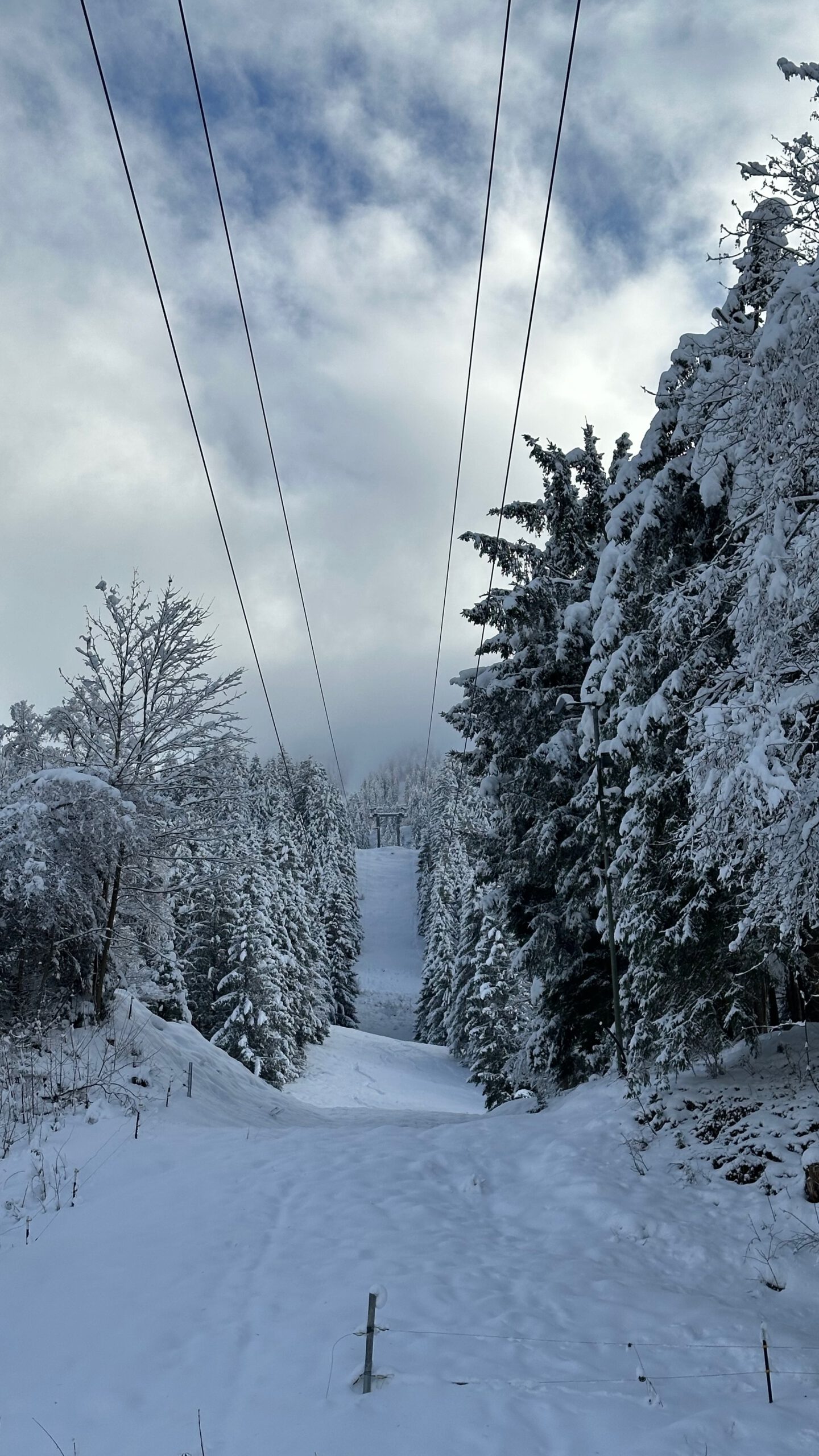 Winterliche Schneise der Laberseilbahn in Oberammergau, flankiert von schneebedeckten Tannen, mit Sicht auf Masten und Seile der Bahn vor bewölktem Himmel.